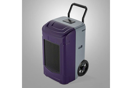 PDGT Series ảnh 1