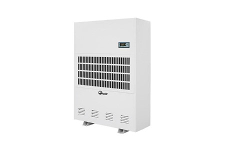 ACD20S ảnh 1