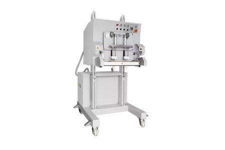 DZQ-600LD ảnh 1