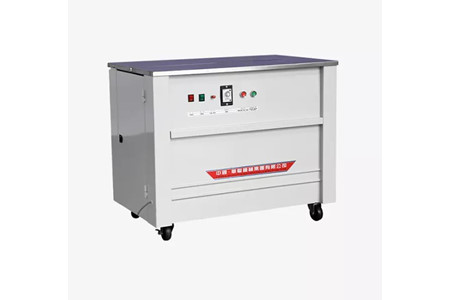 SK-1 ảnh 1