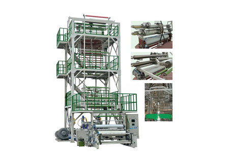 MXSX ảnh 1